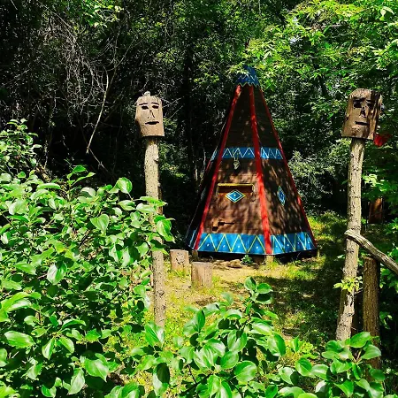 Apartman Ranc Platan - Brvnara Rednek