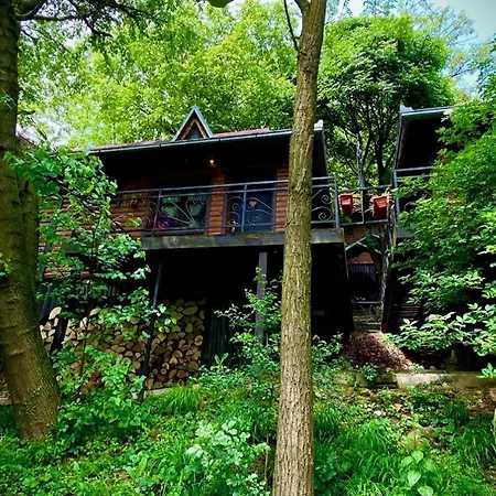 Ranc Platan - Smestaj U Nacionalnom Parku Fruska Gora Apartamento