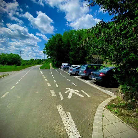 Brvnare Platan, Oaza Prirode