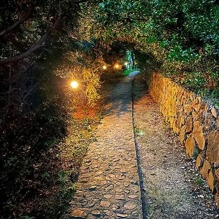 Apartament Ranc Platan - Brvnara