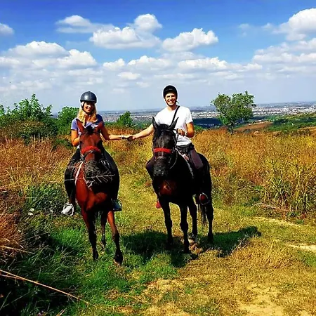 Ranc Platan - Brvnara *