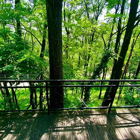 Ranc Platan - Brvnara * Rednek