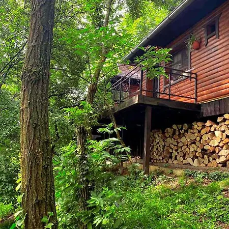 Ranc Platan - Smestaj U Nacionalnom Parku Fruska Gora Apartamento Vrdnik