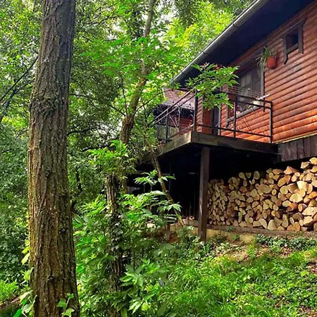 Oaza Prirode, Brvnare Platan Apartment Vrdnik