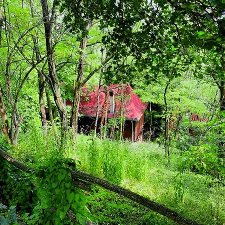 Ranc Platan - Brvnara Appartamento