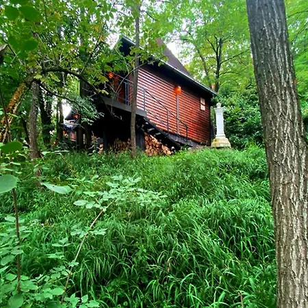 Apartament Ranc Platan - Brvnara