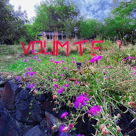 Ranc Platan - Brvnara * 브르드니크