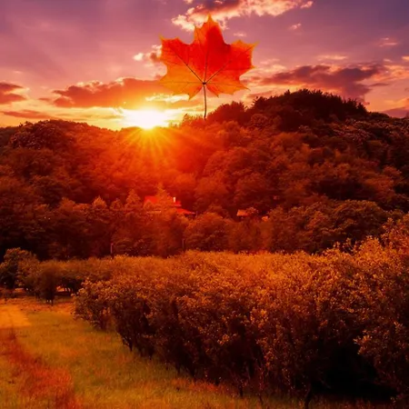 Ranc Platan - Smestaj U Nacionalnom Parku Fruska Gora