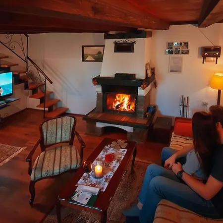 Ranc Platan - Brvnara Apartament