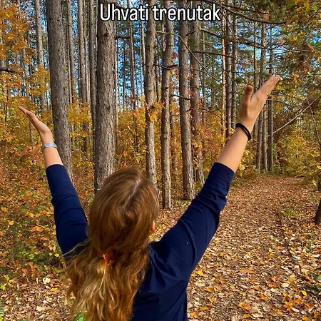 Ranc Platan - Brvnara *