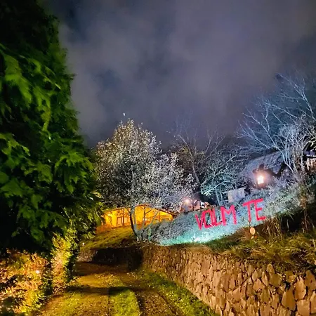 Ranc Platan - Brvnara Apartament