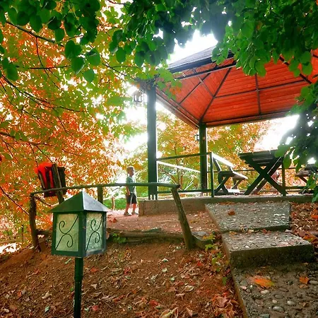 Oaza Prirode, Brvnare Platan * Vrdnik