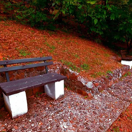 Ranc Platan - Brvnara Apartament *