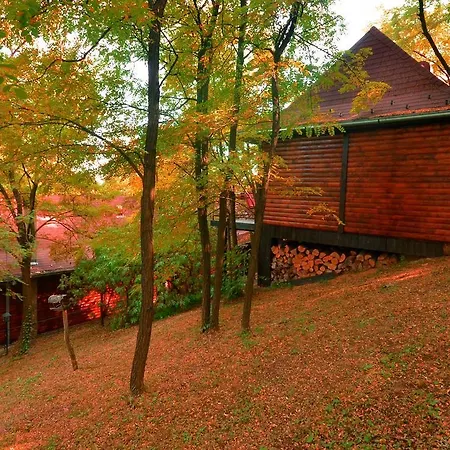 Ranc Platan - Brvnara Rednek