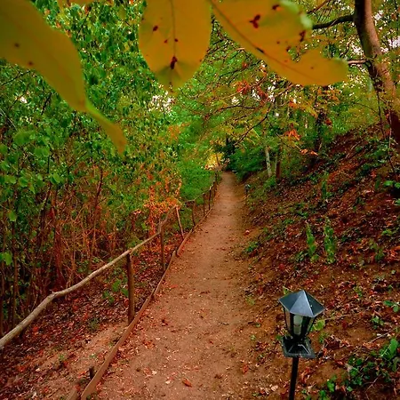 Ranc Platan - Brvnara Apartament Vrdnik