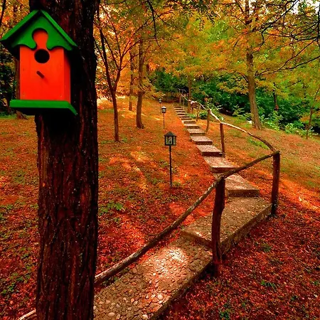 Ranc Platan - Brvnara Apartman *