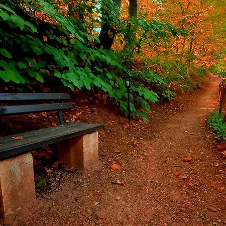 아파트 Ranc Platan - Brvnara