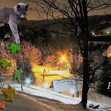 Ranc Platan - Smestaj U Nacionalnom Parku Fruska Gora * Vrdnik