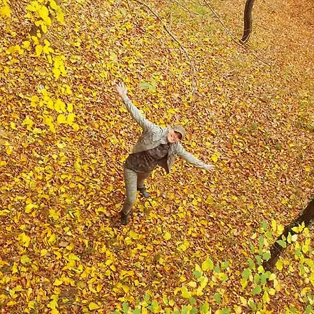 Ranc Platan - Smestaj U Nacionalnom Parku Fruska Gora * Vrdnik