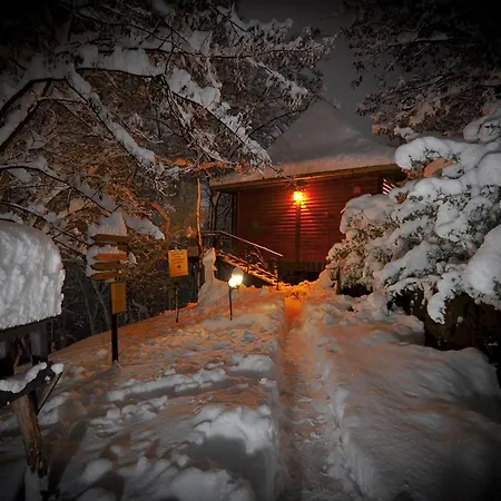Apartment Oaza Prirode, Brvnare Platan Vrdnik