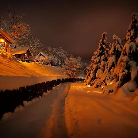 Ranc Platan - Smestaj U Nacionalnom Parku Fruska Gora *