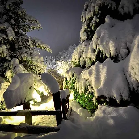 Ranc Platan - Smestaj U Nacionalnom Parku Fruska Gora * Vrdnik