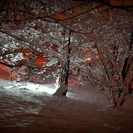 Ranc Platan - Brvnara *