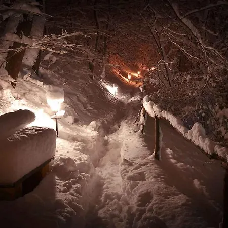 Ranc Platan - Brvnara Apartament