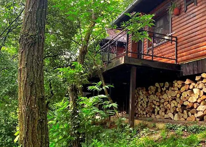 Ranc Platan - Smestaj U Nacionalnom Parku Fruska Gora شقة فردنيك