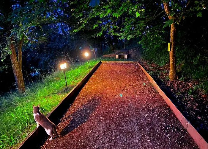 Ranc Platan - Smestaj U Nacionalnom Parku Fruska Gora شقة فردنيك