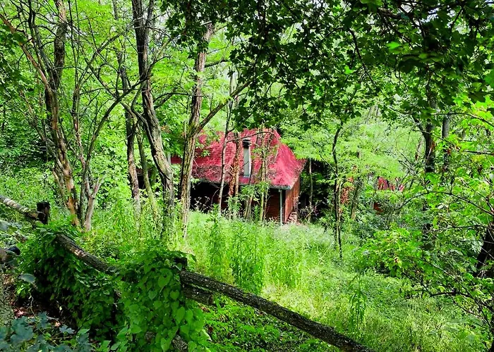 Ranc Platan - Smestaj U Nacionalnom Parku Fruska Gora شقة