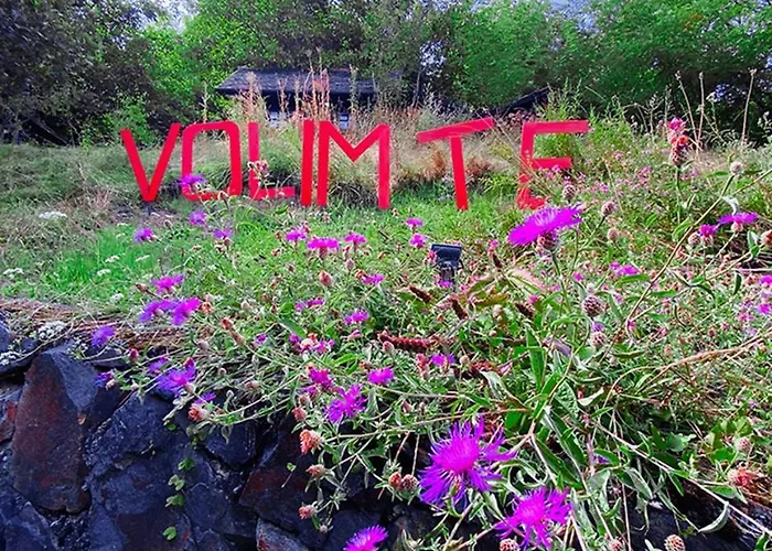 Ranc Platan - Smestaj U Nacionalnom Parku Fruska Gora * فردنيك