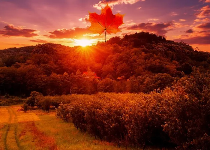 Ranc Platan - Smestaj U Nacionalnom Parku Fruska Gora