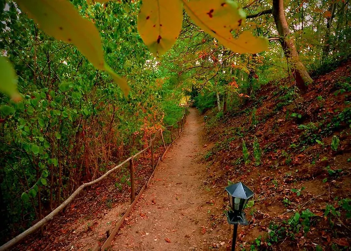 Ranc Platan - Smestaj U Nacionalnom Parku Fruska Gora شقة فردنيك