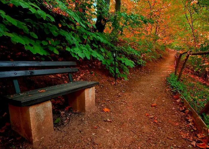 شقة Ranc Platan - Smestaj U Nacionalnom Parku Fruska Gora