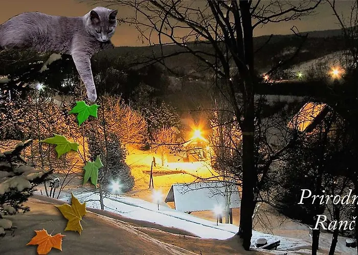 Ranc Platan - Smestaj U Nacionalnom Parku Fruska Gora * فردنيك