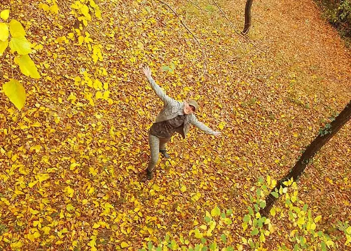 Ranc Platan - Smestaj U Nacionalnom Parku Fruska Gora * فردنيك