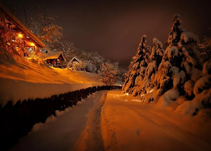 Ranc Platan - Smestaj U Nacionalnom Parku Fruska Gora *