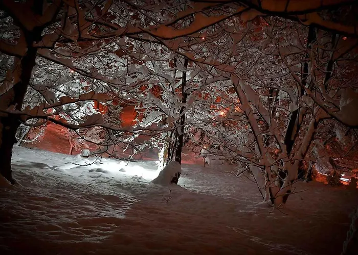 Ranc Platan - Smestaj U Nacionalnom Parku Fruska Gora *