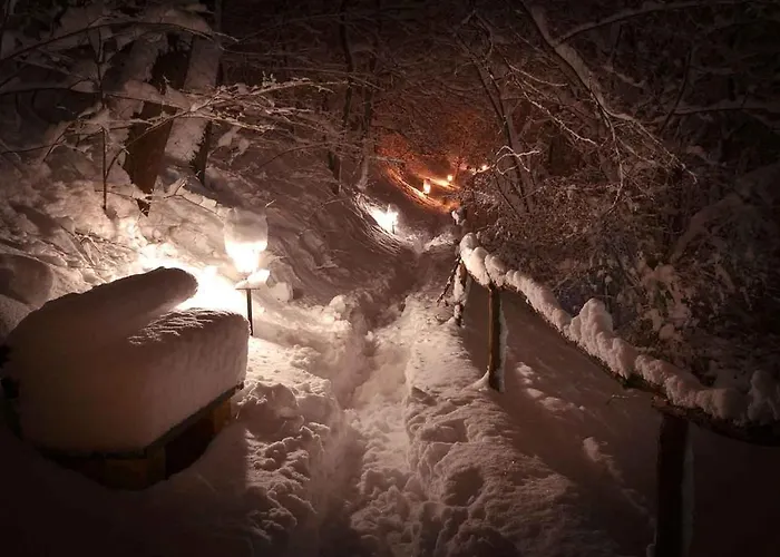 Ranc Platan - Smestaj U Nacionalnom Parku Fruska Gora شقة