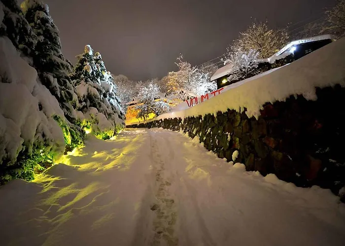 Ranc Platan - Smestaj U Nacionalnom Parku Fruska Gora * فردنيك